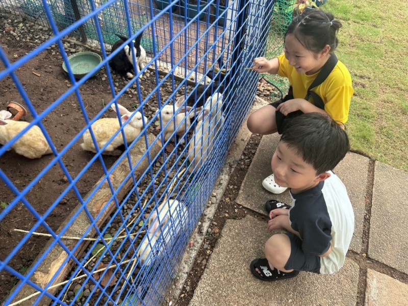 フィリピン留学 Cebu21 - Boracay Coco English-Kids-64